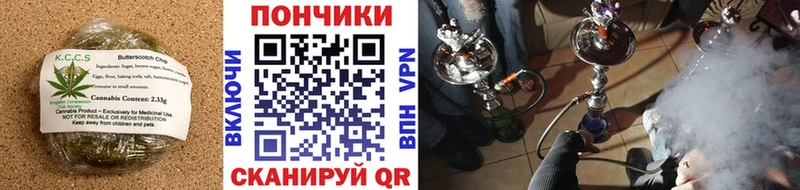 купить наркотики цена  Балахна  Еда ТГК конопля 