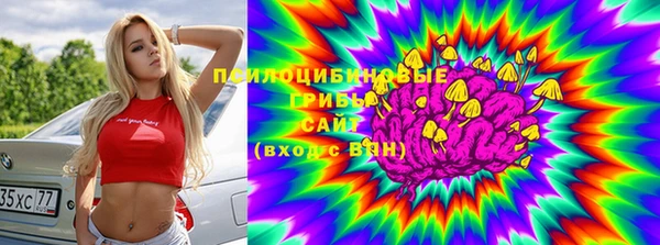 прущий лед Алексин